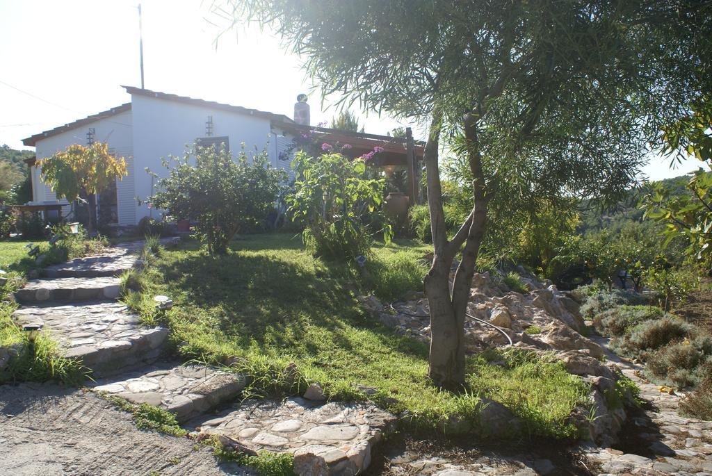 O Ioannis Villa Kritinía Dış mekan fotoğraf