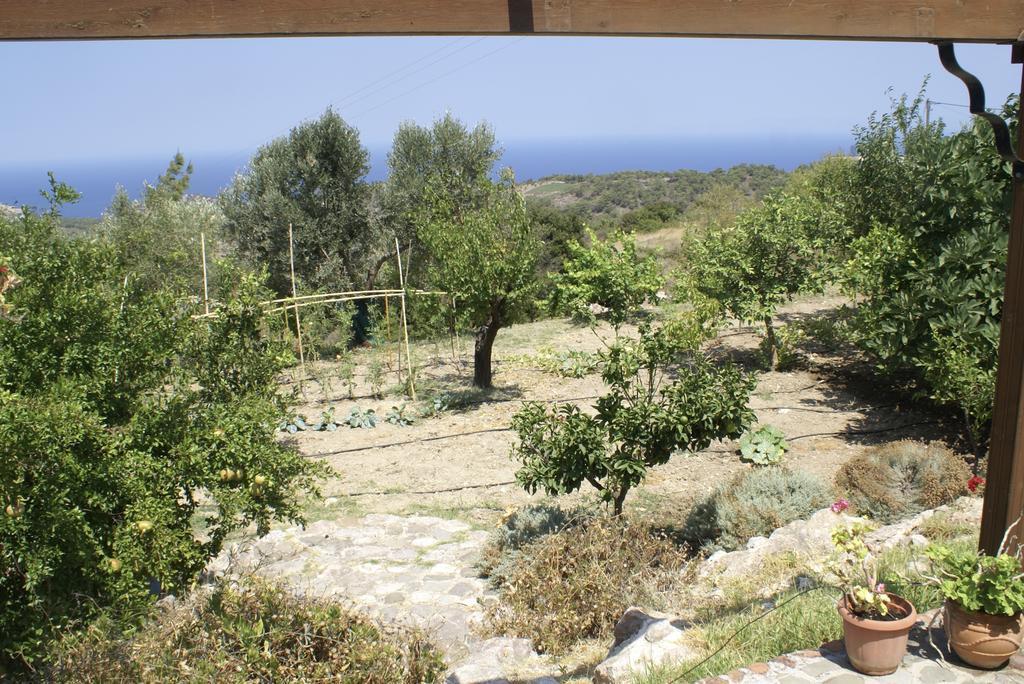 O Ioannis Villa Kritinía Dış mekan fotoğraf